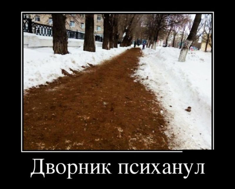 Дворник психанул