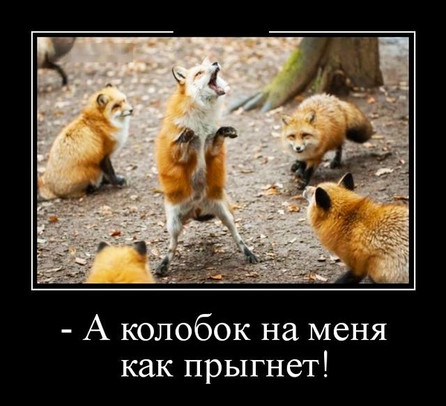 А колобок на меня как прыгнет