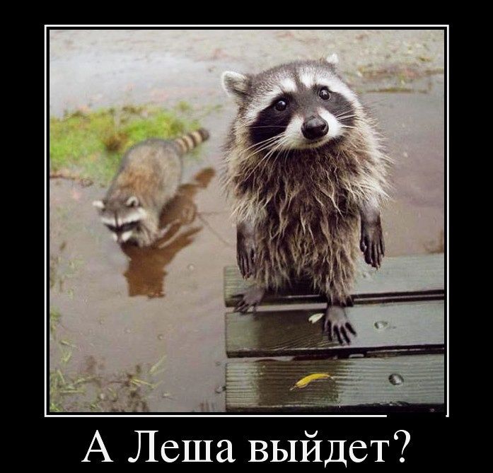 Идет Ы В _а ш 6 _Л А
