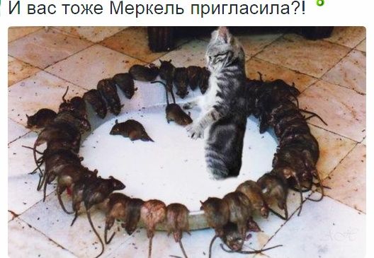 И вас тоже Меркель пригласила