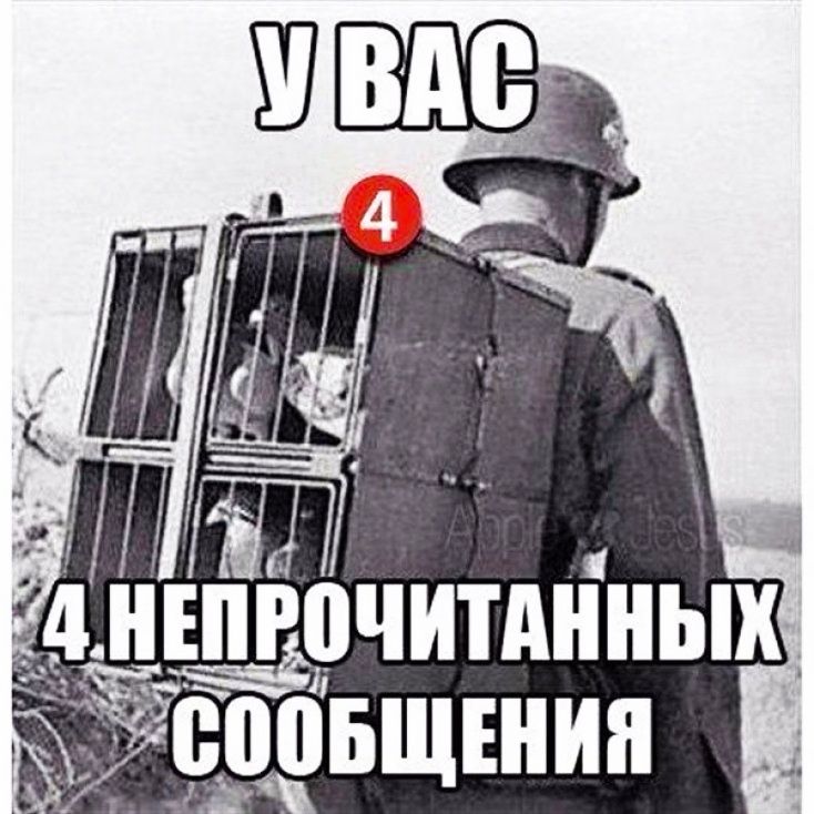 ннЫх ЧИТА 1 ВВВБЩЕнип д9