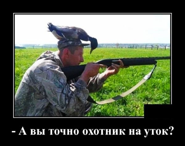 А ВЬ1Т0ЧН0 ОХОТНИК на УТОК