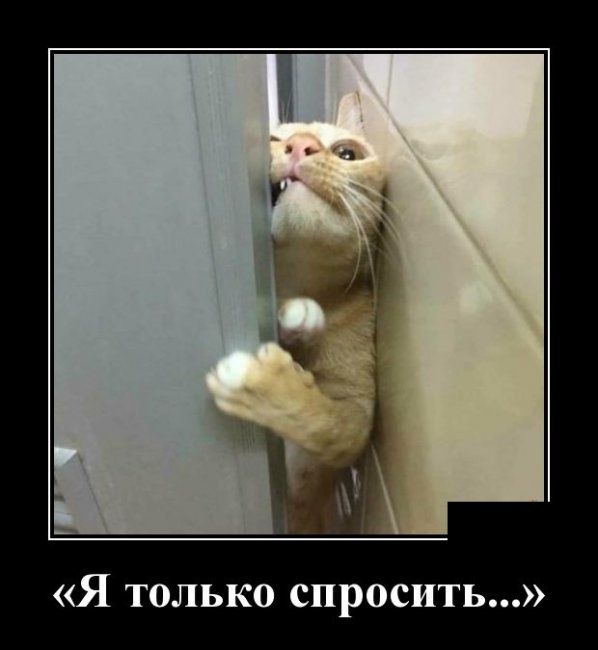 Я ТОЛЬКО СПРОСИТЬ