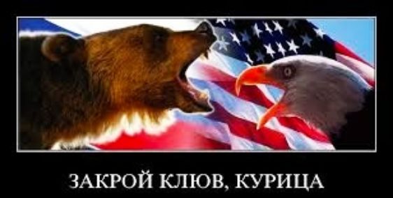 ЗАКРОЙ КЛЮБ КУРИЦА