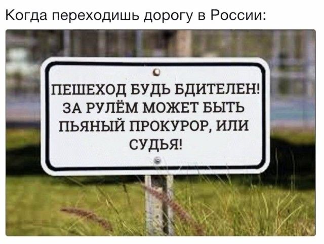 Когда переходишь дорогу в России о ПЕШЕХОД БУДЬ БДИТЕПЕН ЗА РУПЁМ МОЖЕТ БЫТЬ пьяный прокурор или суды