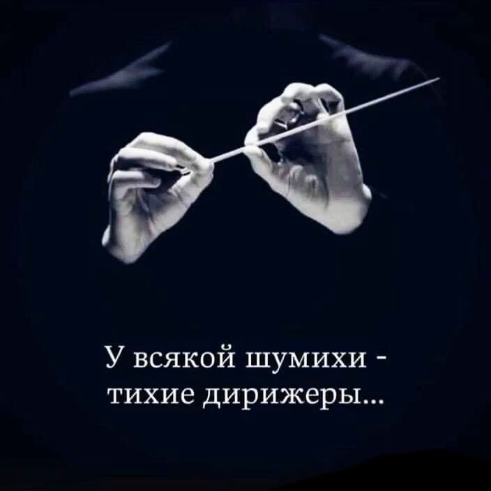 У всякой шумихи тихие дирижеры