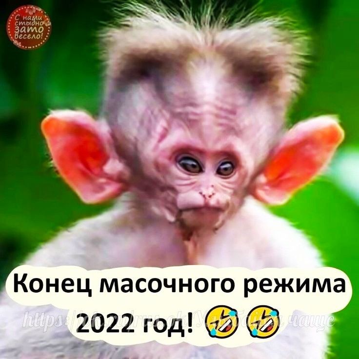 Конец масочного режима 2022 год