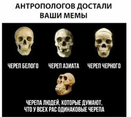 АНТРОПОЛОГОВ ДОСТАЛИ ВАШИ МЕМЫ щ чтпншпгп чип пит чтпчпнпга ЧЕРЕПД ЛЮДЕЙ КШПРЫЕ ЦУММШ ЧТО У ВСЕХ РАЕ ПШИМШВЫЕ ЧЕРЕПА