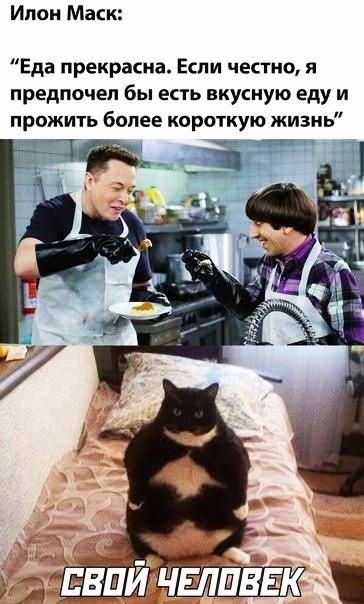Ипон Маси Еда прекрасна Если честно я предпочел бы ЕСТЬ вкусную еду И