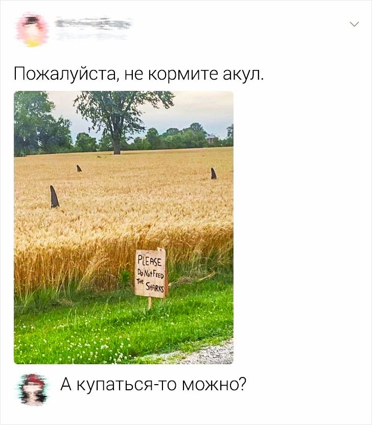 Пожалуйста не кормите акул _ Ё А купаться то можно