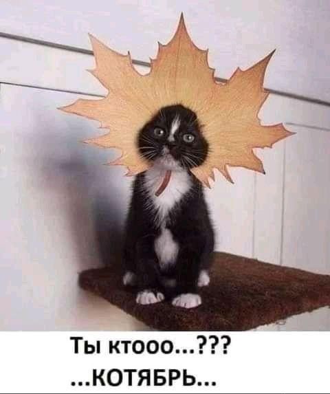 Ты ктооо КОТЯБРЬ