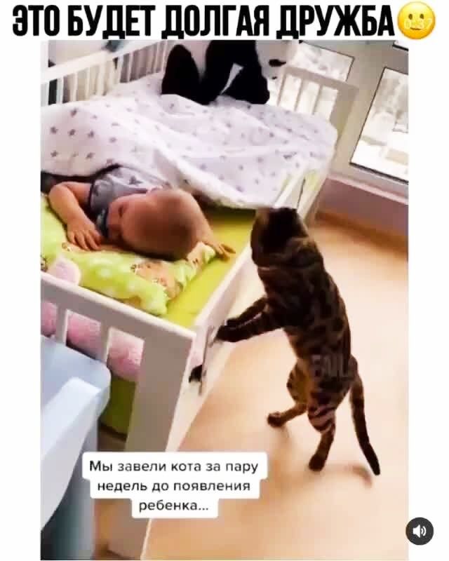 ЭТП БУДЕТ ЛПЛГАЯ ЛРУЖБА іі ШЩЪ7