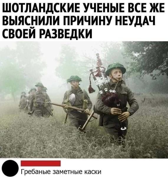 ШОТЛАНДСКИЕ УЧЕНЫЕ ВСЕ ЖЕ ВЬЯС__ИЛИ ПРИЧИНУ НЕУДАЧ СВОЕИ РАЗВЕДКИ _ Гребаные заметные каски