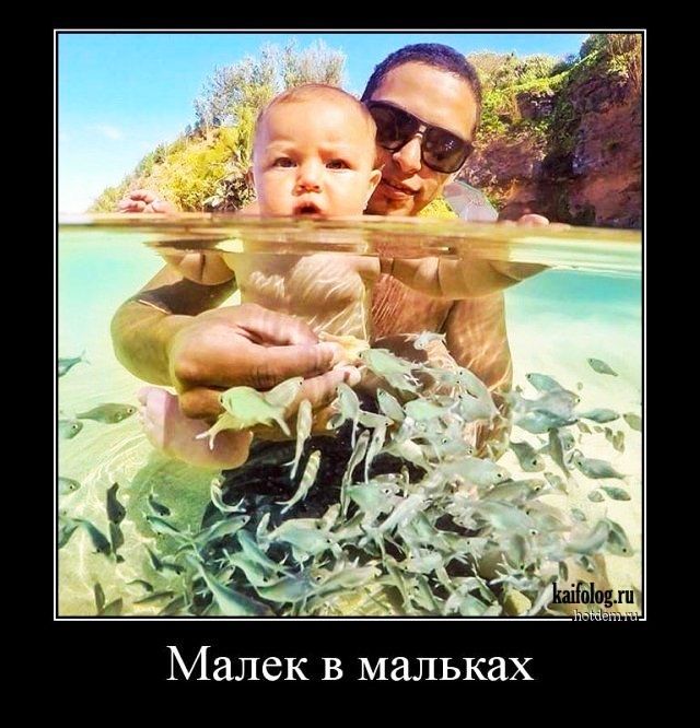 Малек в мальках