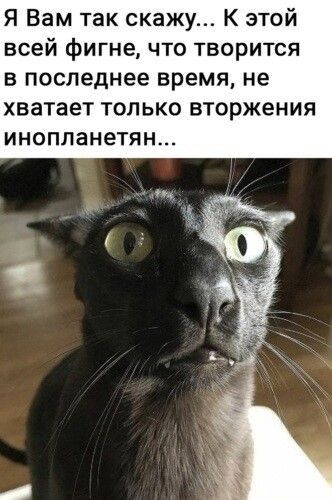 Я Вам так скажу К этой всей фигне что творится в последнее время не хватает ТОЛЬКО ВТОРЖеНИЯ инопланетян мп