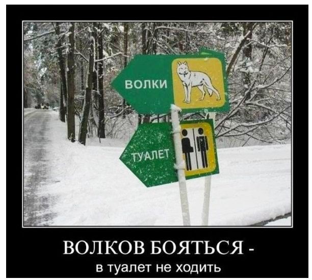 ВОЛКОВ БОЯТЬСЯ В туалет не ХОДИТЬ
