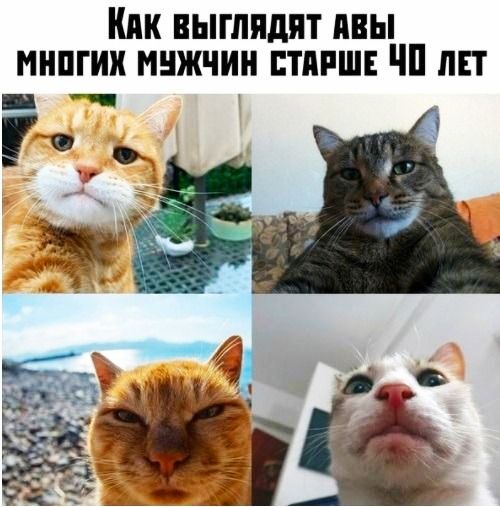 Кик выглядят ивы мнпгии мнжчии птяпш чп пп