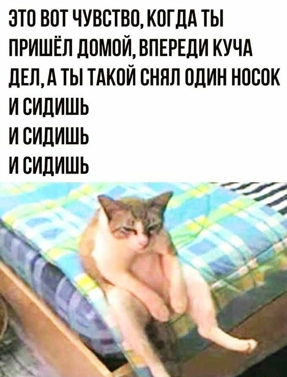 ЭТП ВПТ ЧУВСТВИ КОГДА ТЫ ПРИШЁЛ ЛПМПИ ВПЕРЕДИ КУЧА ЛЕПА ТЫ ТАКПИ СННЛ ОДИН НОСПК И СИДИШЬ И ВИДИШЬ И ВИДИШЬ