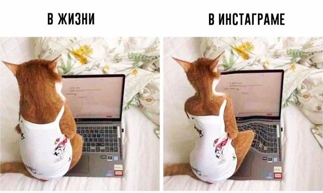 В ЖИЗНИ В ИНЕТАГРАМЕ