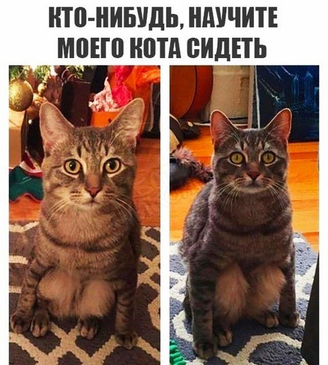 НТП НИБУДЬ НАУЧИТЕ ШЕП ШПД ВИДЕТЬ