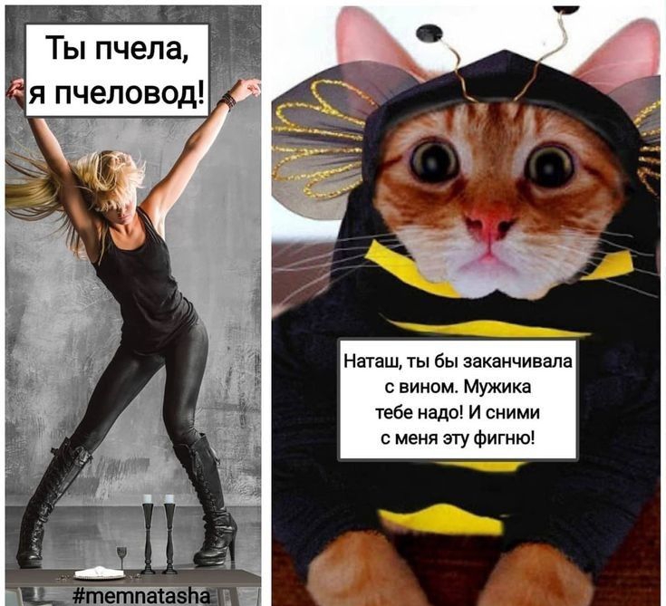 __ 32 Ты пчела я пчеловод Наташ ты бы заканчивала с вином Мужика тебе надо И сними меня эту фигню