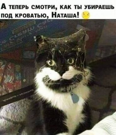 А ТЕПЕРЬ СМОТРИ КАК ты УБИРАЕШЬ ПОД КРОВАТЬЮ АТДША