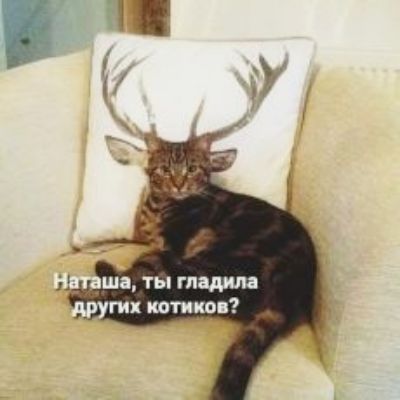 ги ктив
