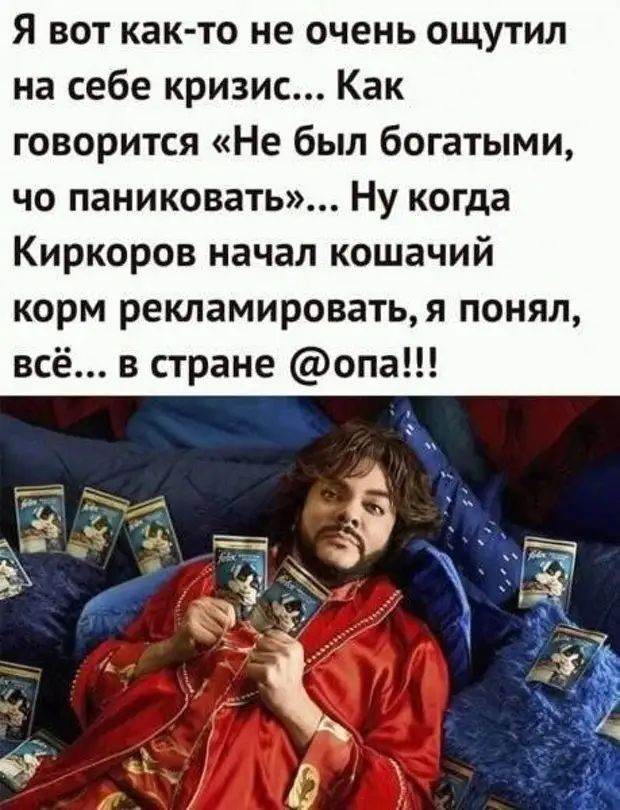 Я вот как то не очень ощутил на себе кризис Как говорится Не был богатыми чо паниковать Ну когда Киркоров начал кошачий корм рекламироватья понял всё в стране опа