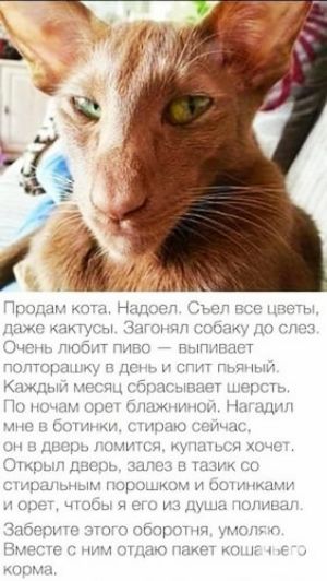 мг гди ди _ г гм _ гц 7НКгцдхМЦЬЧ и щ щ мъмдымищш 4 и и мы и Ппппгп тж _