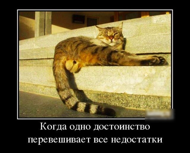 Когда одно достоинство перевешивает все недостатки