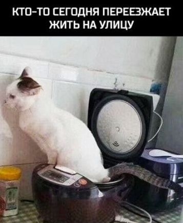 КТПТП ЕЕГПДНЯ ПЕРЕБЖАЕТ ЖИТЬ НА УЛИЦУ