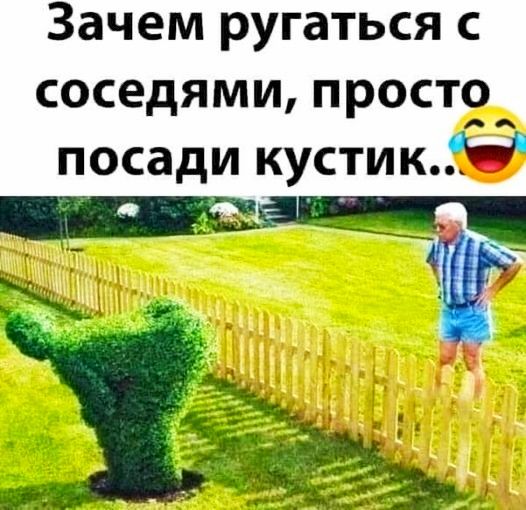 Зачем ругаться с соседями просто посади кустикЮ