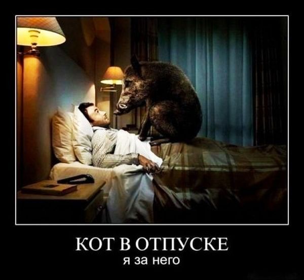 КОТ В ОТПУСКЕ Я за НЕГО