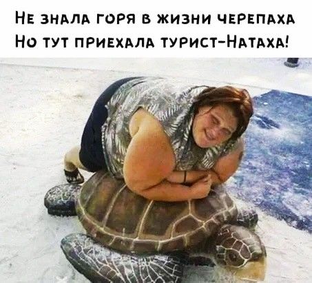 НЕ знплд горя в жизни чврвпдхд Но тут привхдлд туристНивки