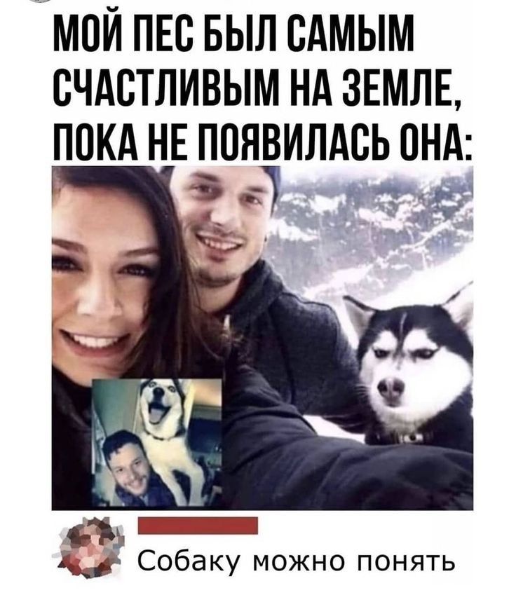мои пы выл сАмым счдстливым НА ЗЕМЛЕ покд НЕ появилдсь АНА 9 м Собаку можно понять