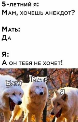 5 лвтний я МАМ хочешь АНЕКДОТ МАть ДА Я А он тввя НЕ хочвт