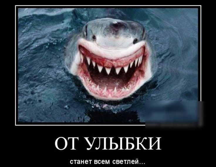 ОТ УЛЫБКИ станет всем светлей