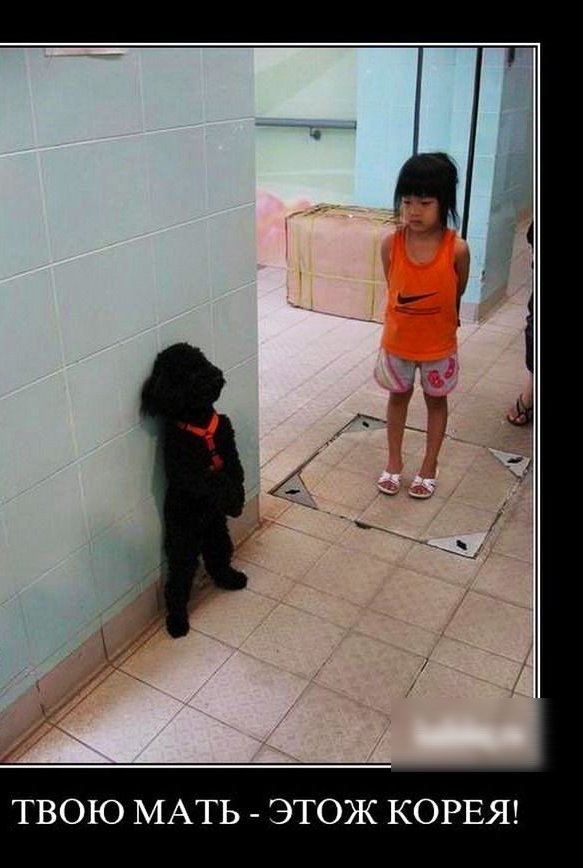 ТВОЮ МАТЬ ЭТОЖ КОРЕЯ
