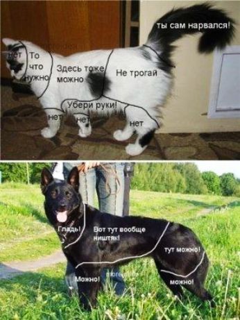 ш ршсил