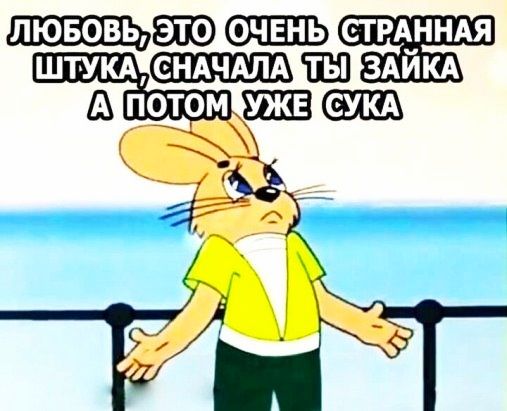 лювовьэт ОФПЗПЬ СТРАННАя ШТУКАЩ Ш ЗАЙКА