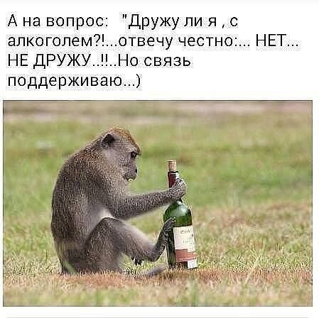 А на вопрос Дружу ли я алкоголемотвечу честно НЕТ НЕ ДРУЖУ Но связь поддерживаю