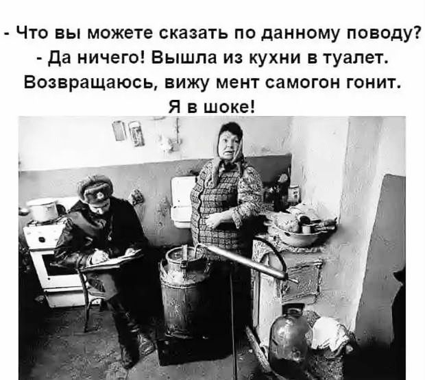 Что вы можете сказать по данному поводу да ничего Вышла из кухни в туалет Возвращаюсь вижу мент самогон гонит