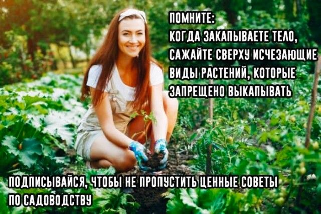_ ппмнитвд кпгддздкдпывдвтпш _ г слжлптнсвввхнисчшющив ВИДЫ РАЕТЕИИИчКШПРЫЕд ЗАПРЕЩЕНО ВШКАПЫВАН