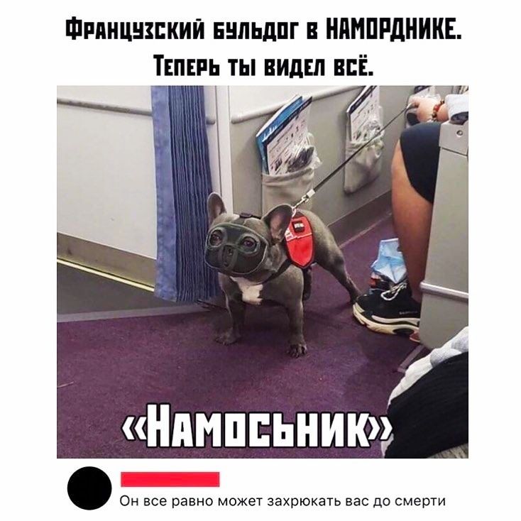 ФРПНЦЩЕКИЙ ЕНПЬДПГ В НПППРДНИКЕ ТЕПЕРЬ ТЫ ВИДЕЛ ВСЕ Нпмппьнию ОН все равно может захрюкать 830 до смерти