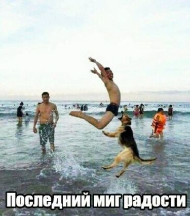поспвдиий миг радости _ 7