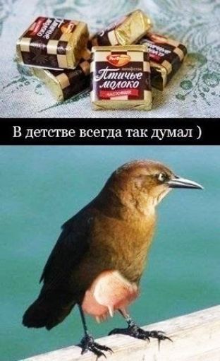 Тане в детстве всегда так думал