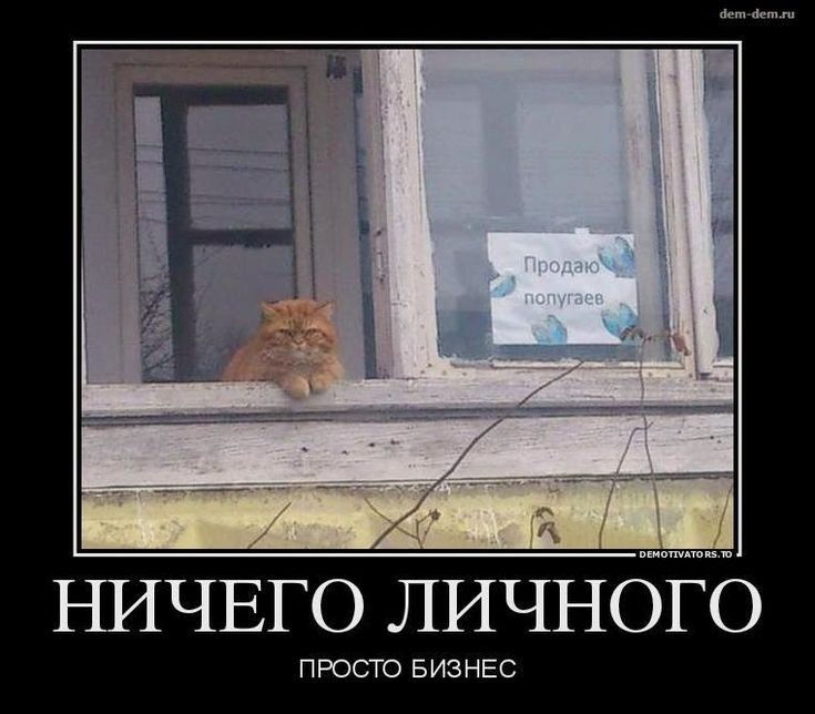 НИЧЕГО ЛИЧНбЁЬ ПРОСТО БИЗНЕС