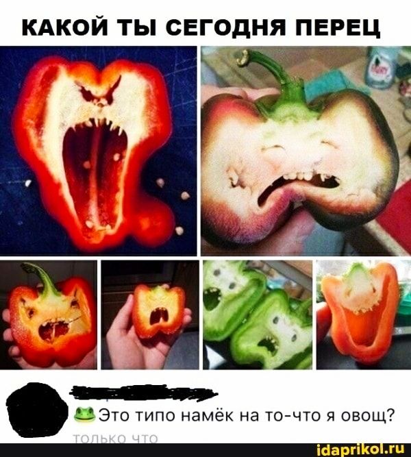 КАКОЙ ТЫ СЕГОДНЯ ПЕРЕЦ Это типо намёк на точто я овощ