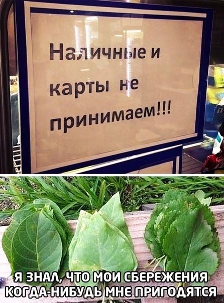 Наличные и прин