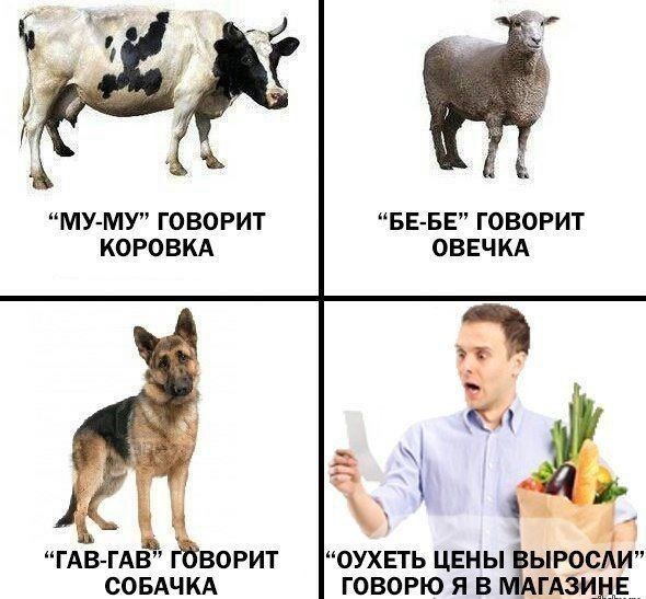 МУ МУ ГОВОРИТ БЕ БЕ ГОВОРИТ КОРОБКА ОВЕЧКА Ъ К ч ГАВ ГАВ ворит оухвть цены ыросди СОБАЧКА говорюяв _гдэид